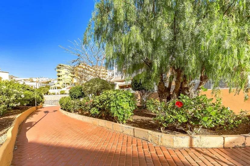 Tenerifeopenhome Costa Adeje Comfort Apartment 3 Pools Exterior foto